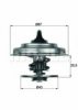 BEHR TX 18 79 Thermostat, coolant